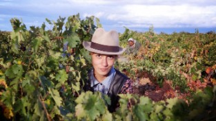 Vocarraje Abdon Segovia