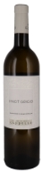 Pinot Grigio Friuli DOC