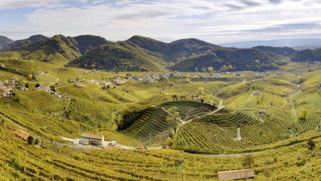 Terre di Rai Terre di Rai